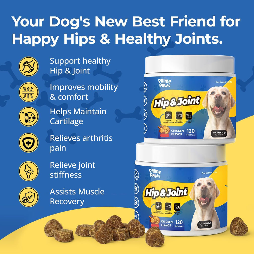 Hip & Joint Supplement
