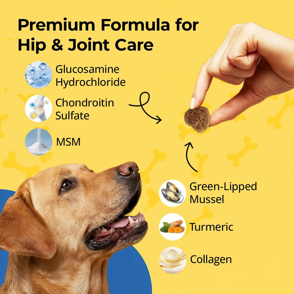Hip & Joint Supplement