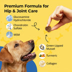 Hip & Joint Supplement