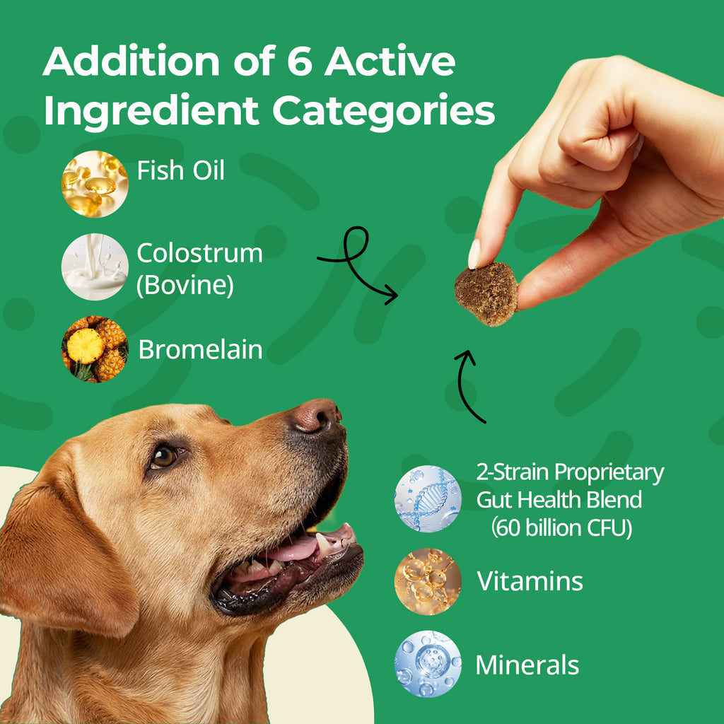 Dog Allergy Chews