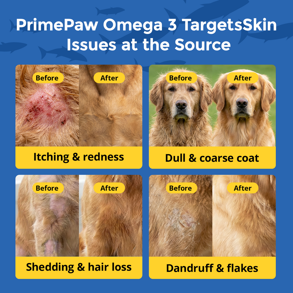 Omega 3 for Dogs