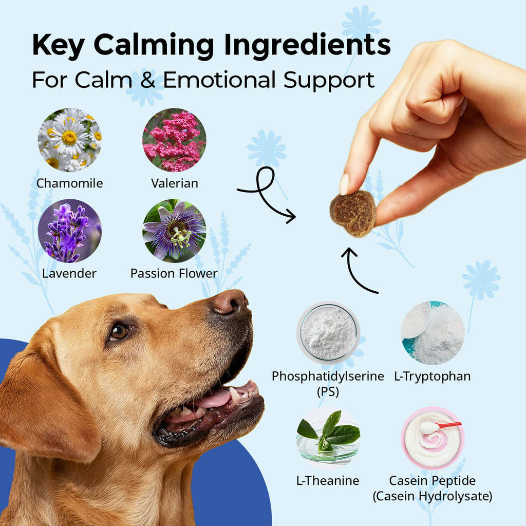 Calming Chews for Dogs
