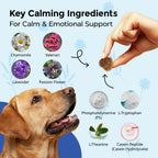 Calming Chews for Dogs