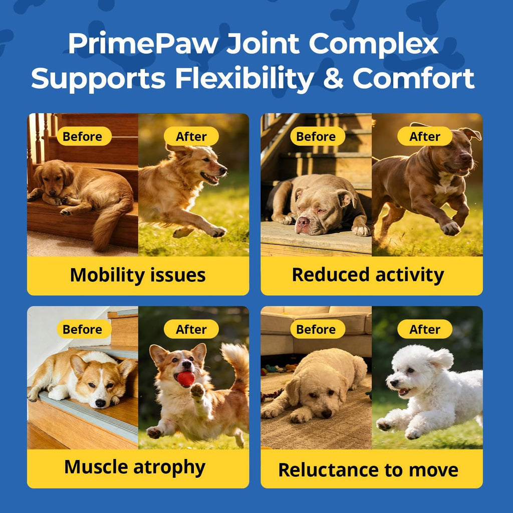 Hip & Joint Supplement
