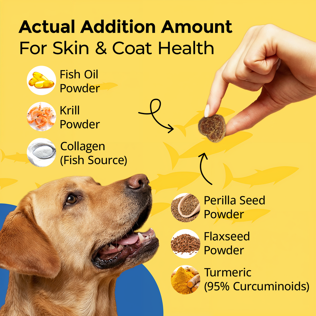 Omega 3 for Dogs