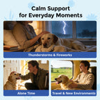 Calming Chews for Dogs