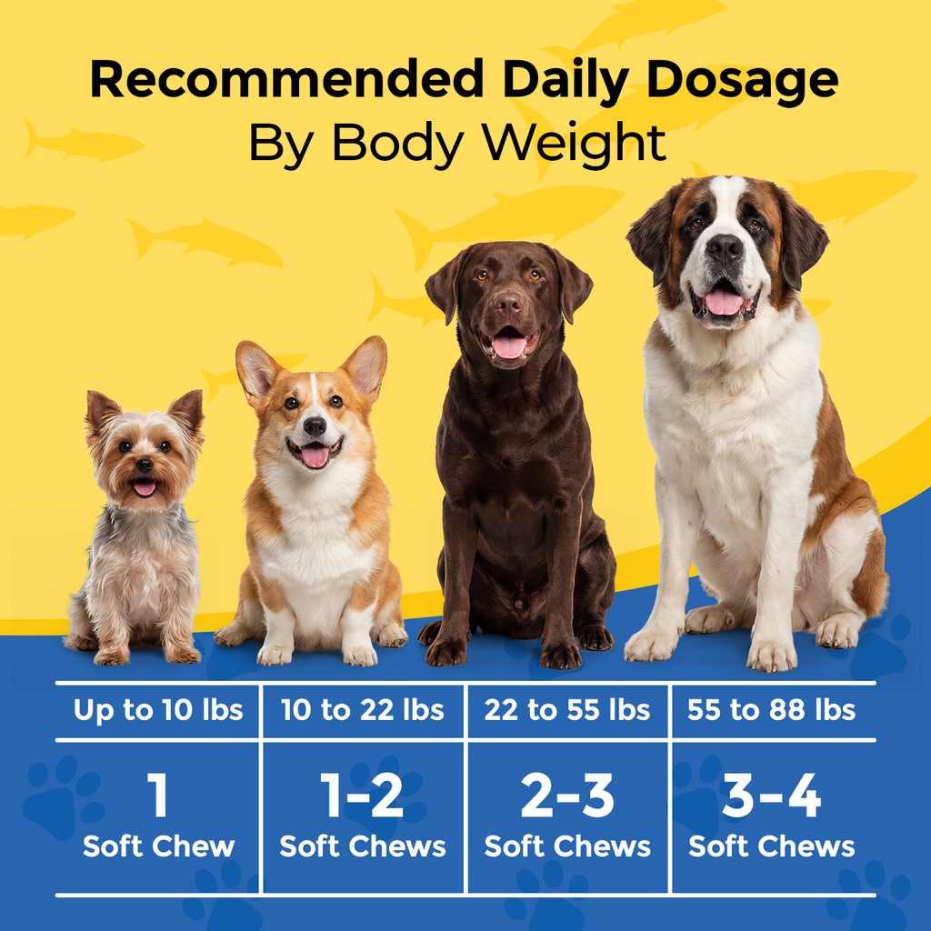 Omega 3 for Dogs