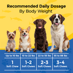 Omega 3 for Dogs