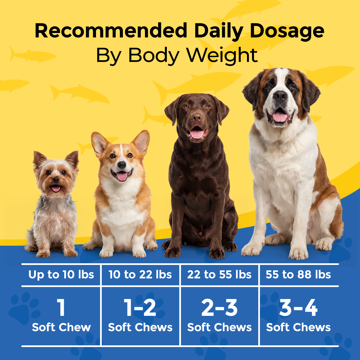 Omega 3 for Dogs
