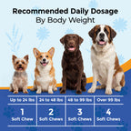 Calming Chews for Dogs
