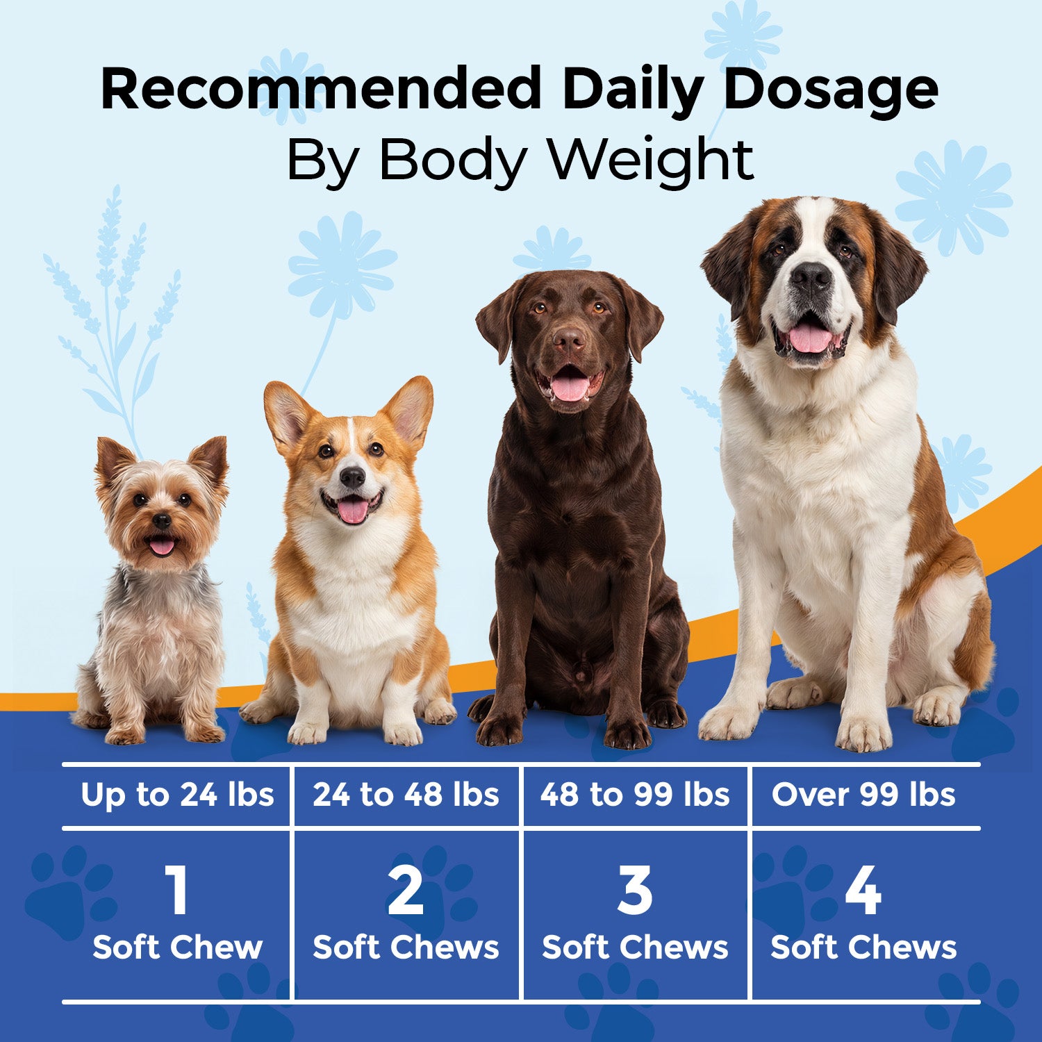 Calming Chews for Dogs