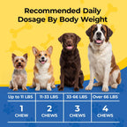 Hip & Joint Supplement