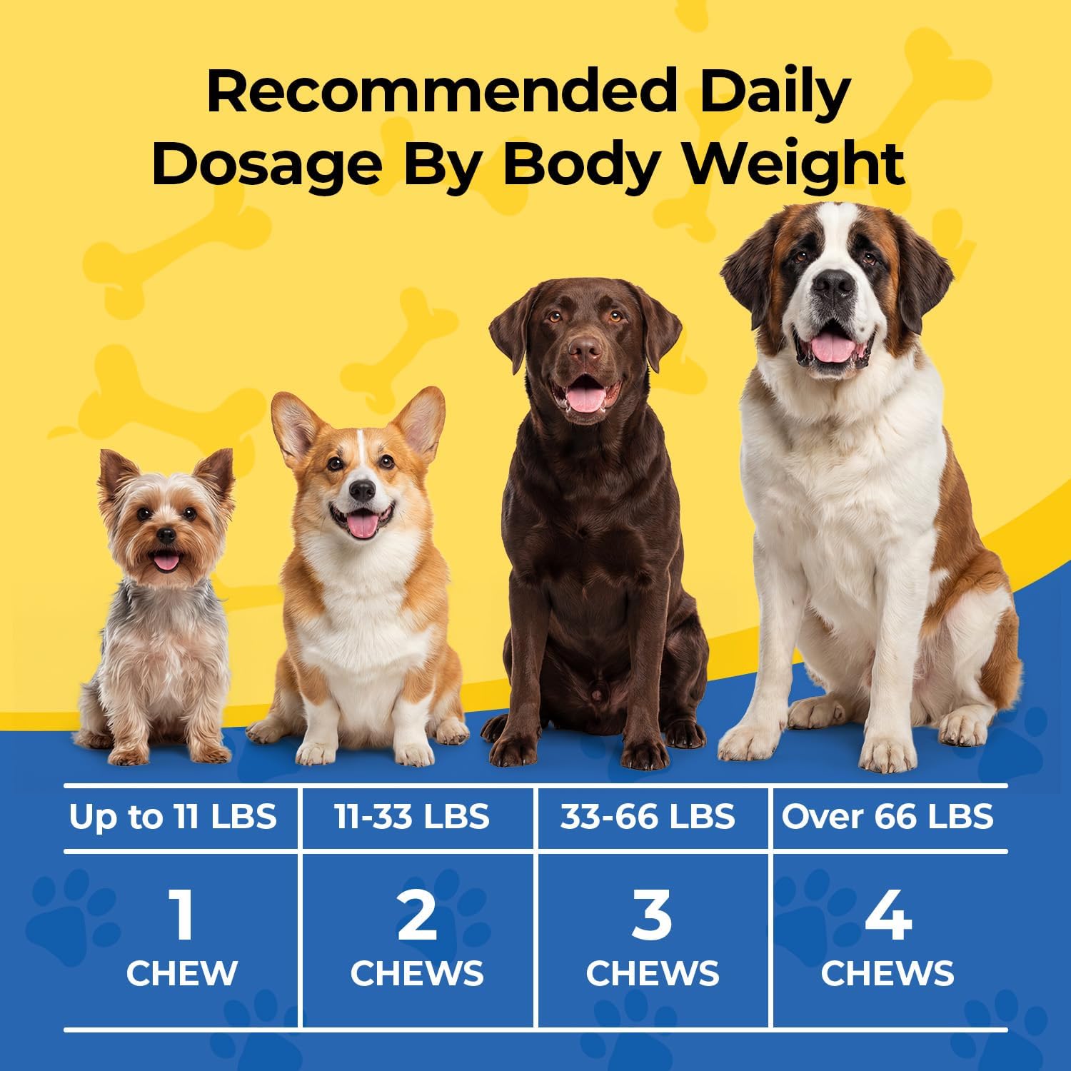 Hip & Joint Supplement
